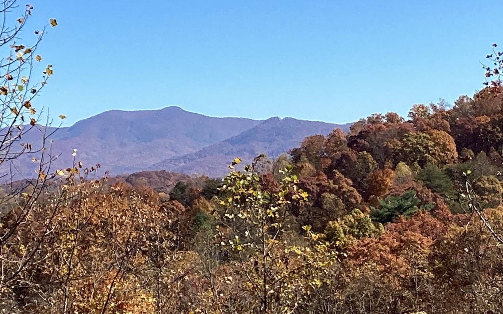 a view of a house with a mountain in the background