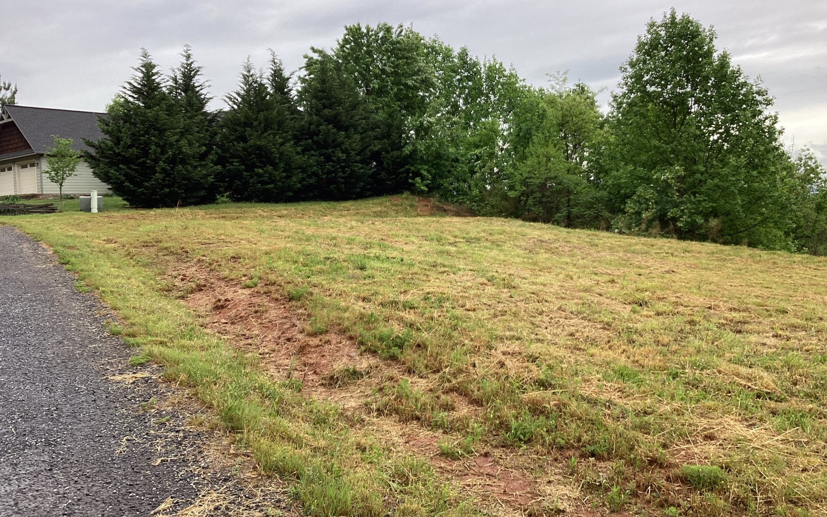 1220 Chatuge Manor Road Young Harris, GA 30582 - Photo 12 of 46 a view of a yard with a trees