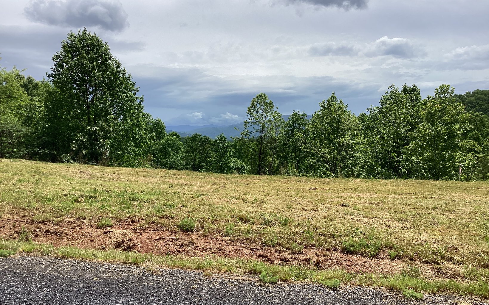 1220 Chatuge Manor Road Young Harris, GA 30582 - Photo 15 of 46 a view of a field of grass and trees