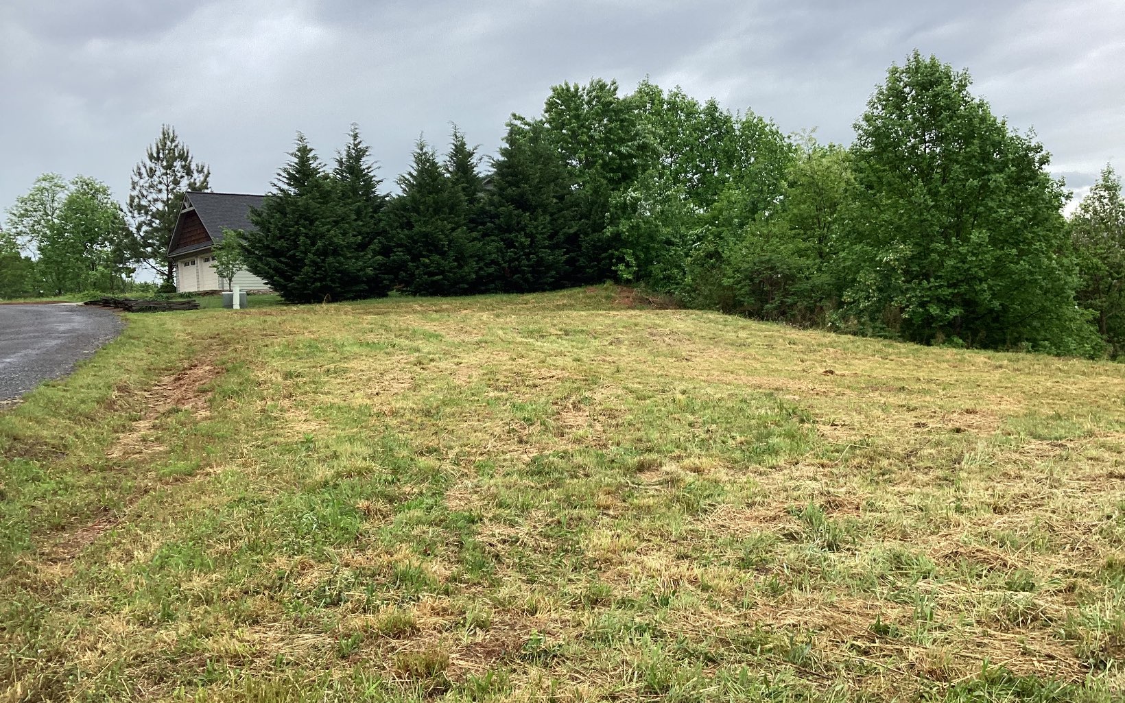 1220 Chatuge Manor Road Young Harris, GA 30582 - Photo 29 of 46 a view of a yard with a trees