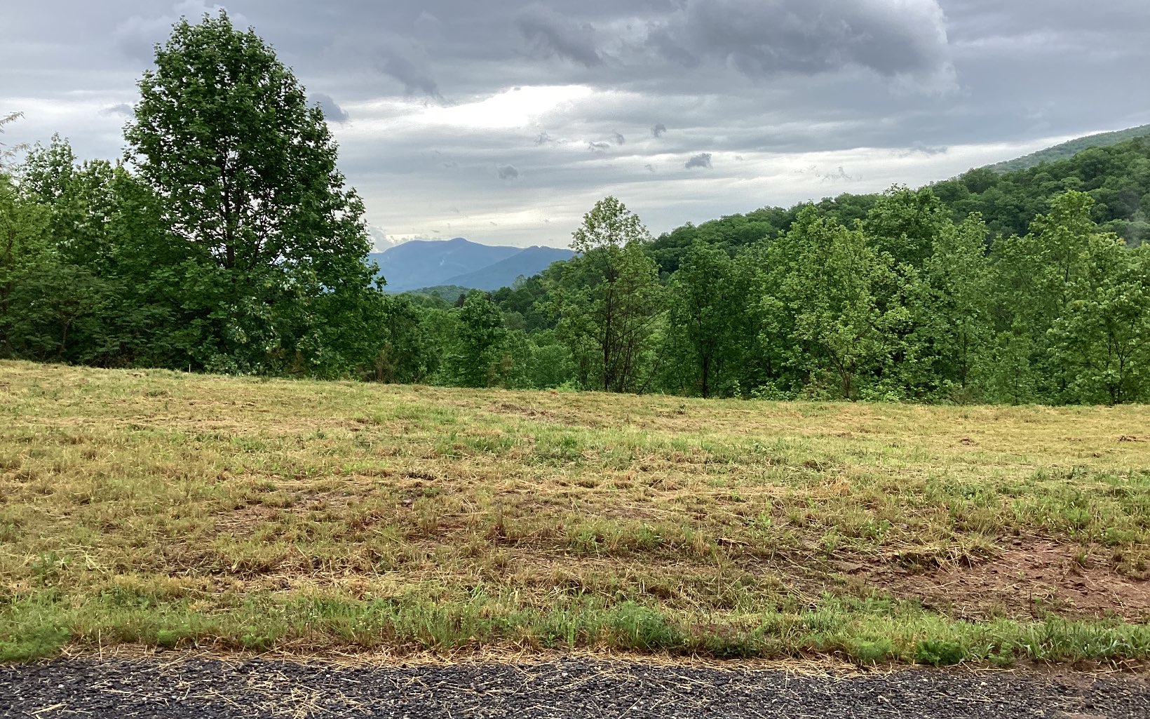1220 Chatuge Manor Road Young Harris, GA 30582 - Photo 32 of 46 a view of yard and mountain view