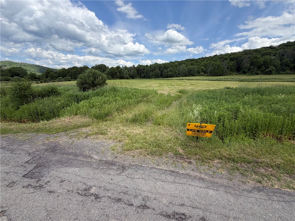 Lot 9 Summit Road Cuba, NY 14727 - Photo 9 of 22