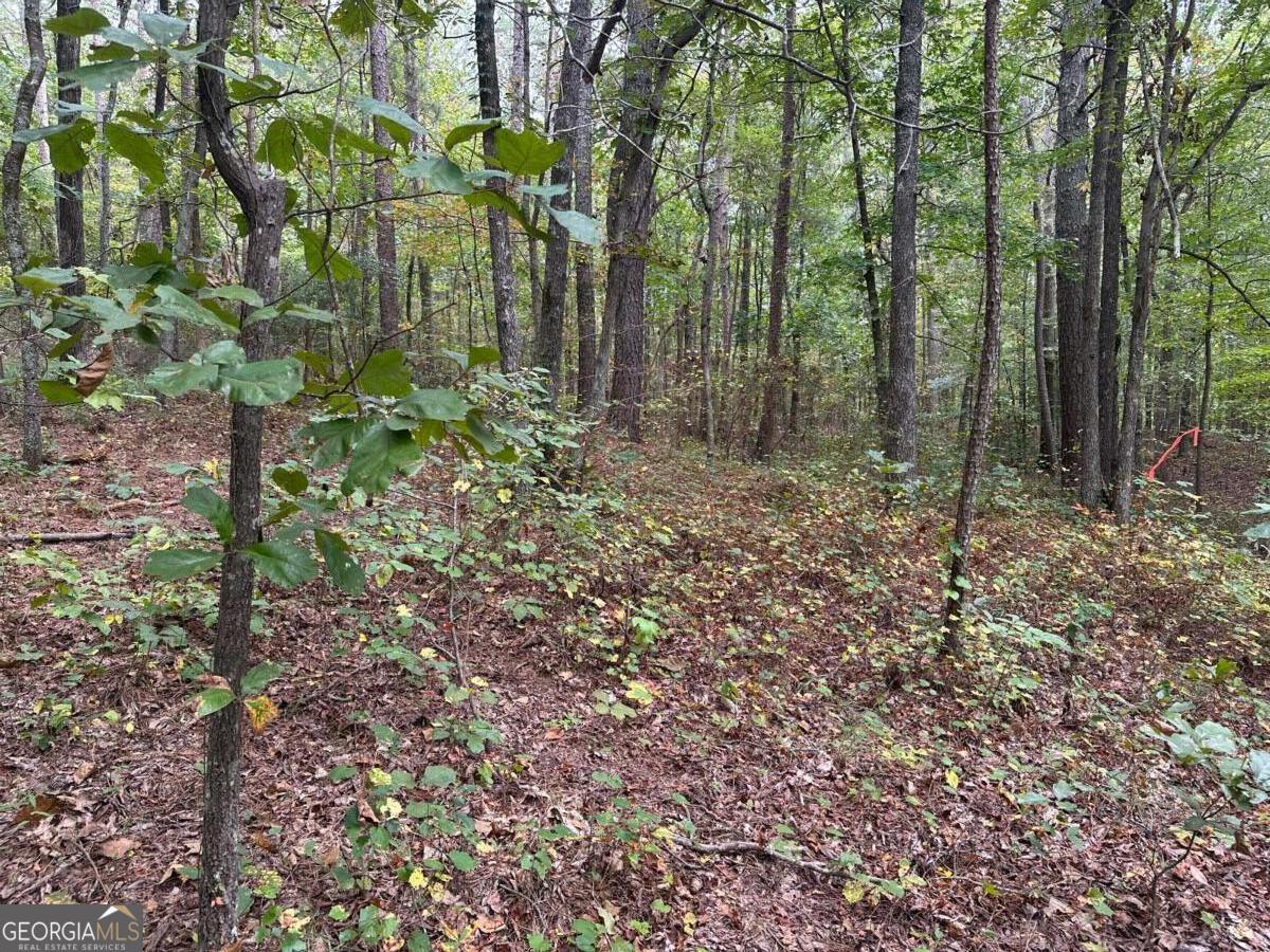 3834 Salacoa Road, Unit TRACT B Waleska, GA 30183 - Photo 11 of 12