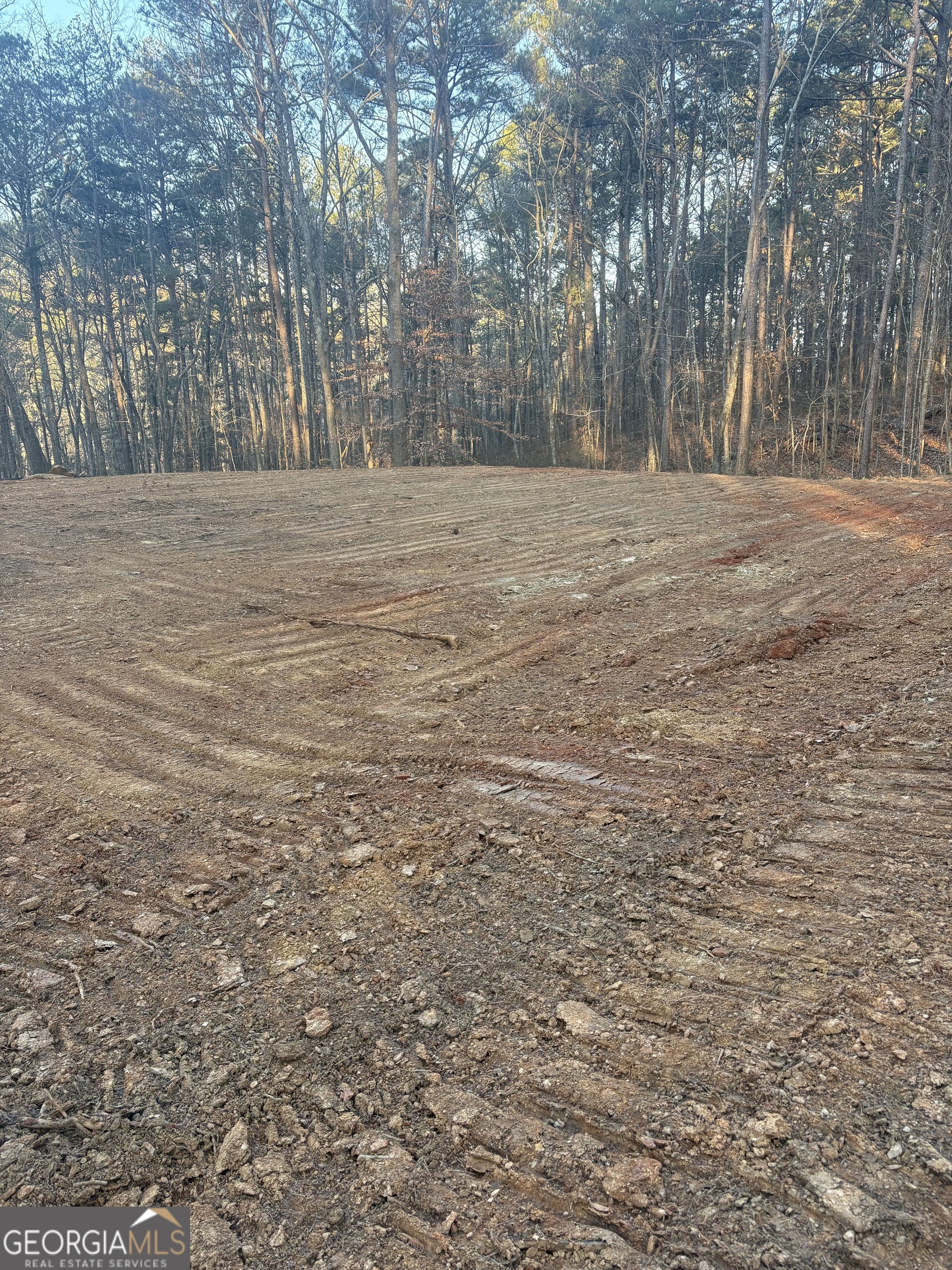 3834 Salacoa Road, Unit TRACT B Waleska, GA 30183 - Photo 2 of 12