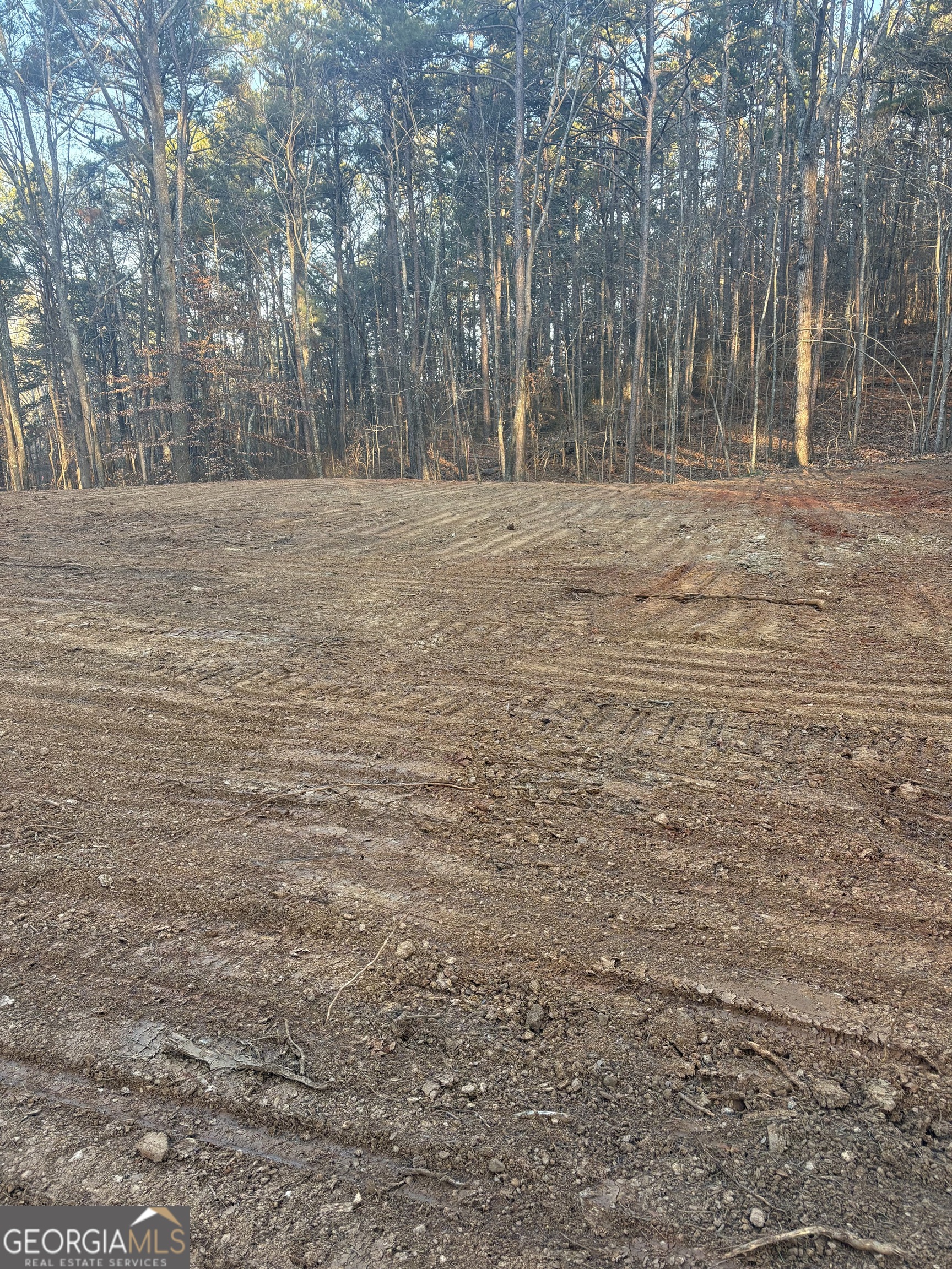 3834 Salacoa Road, Unit TRACT B Waleska, GA 30183 - Photo 4 of 12