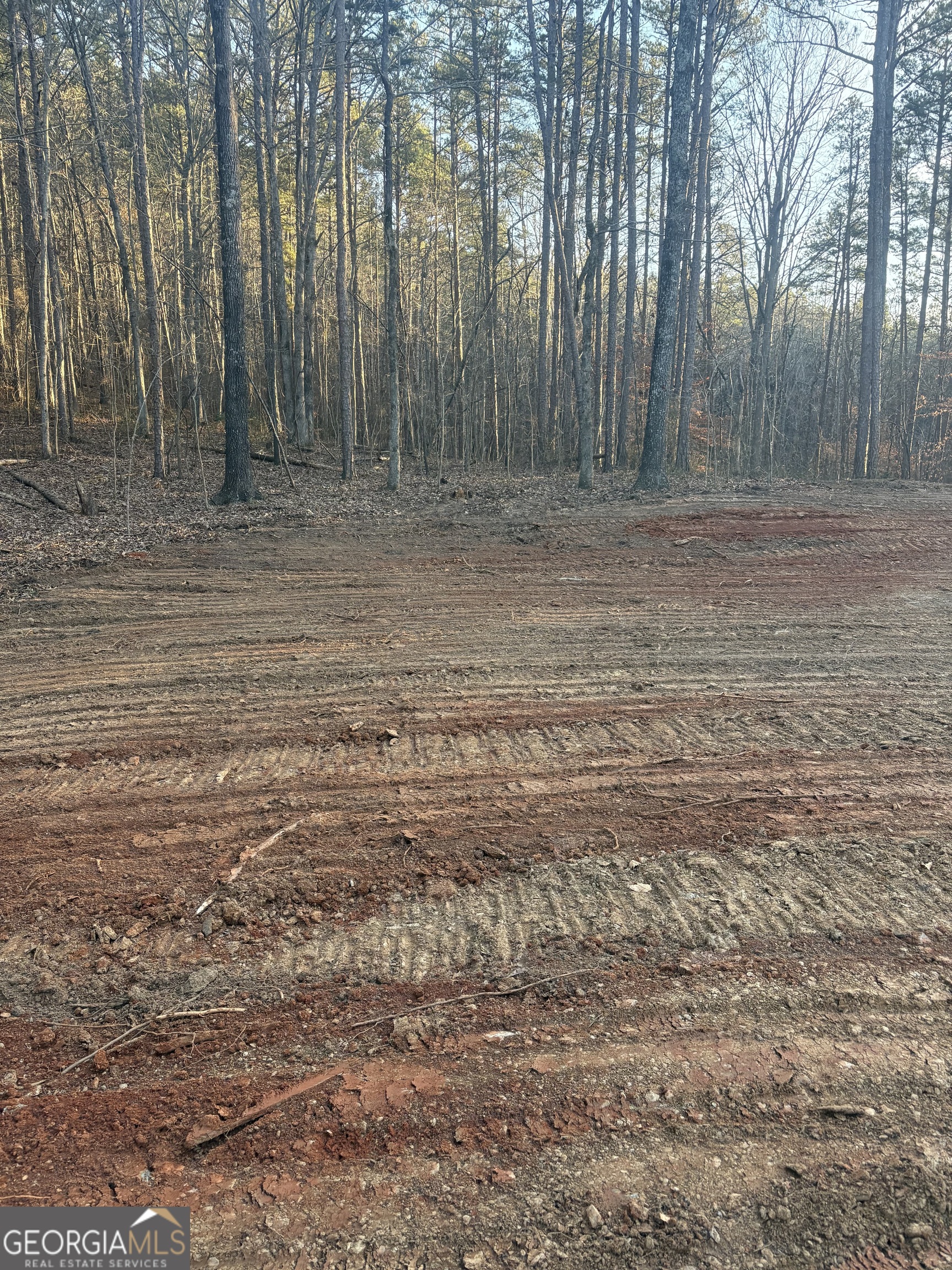 3834 Salacoa Road, Unit TRACT B Waleska, GA 30183 - Photo 6 of 12