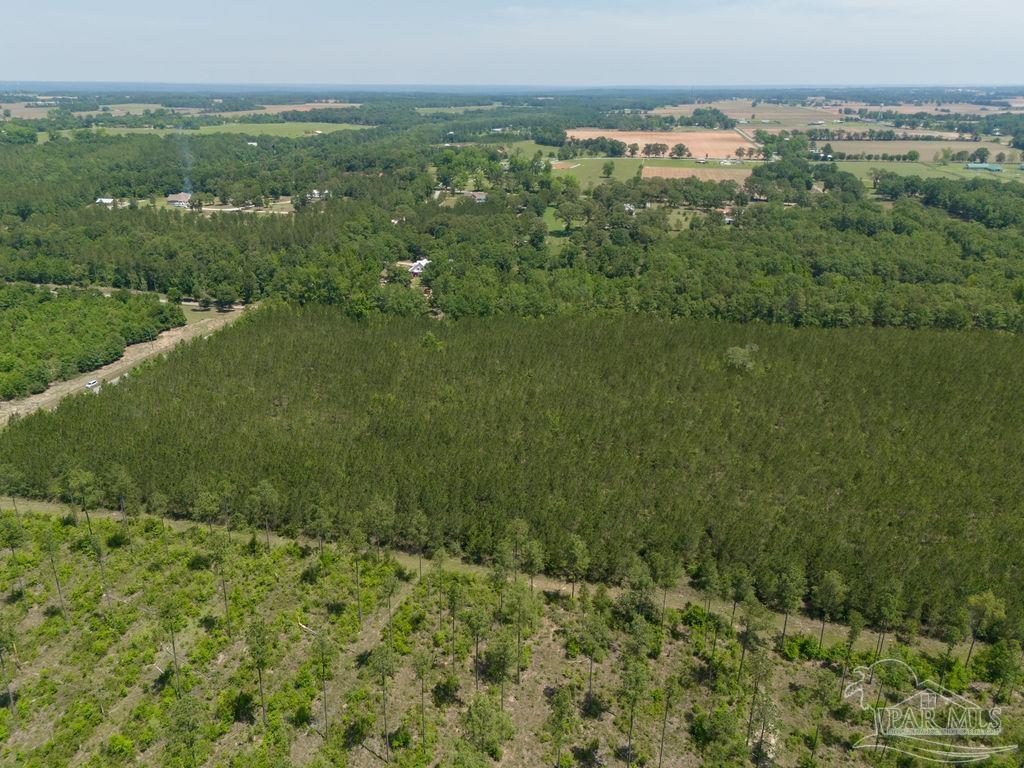 11 Bud Diamond Road Jay, FL 32565 - Photo 12 of 19
