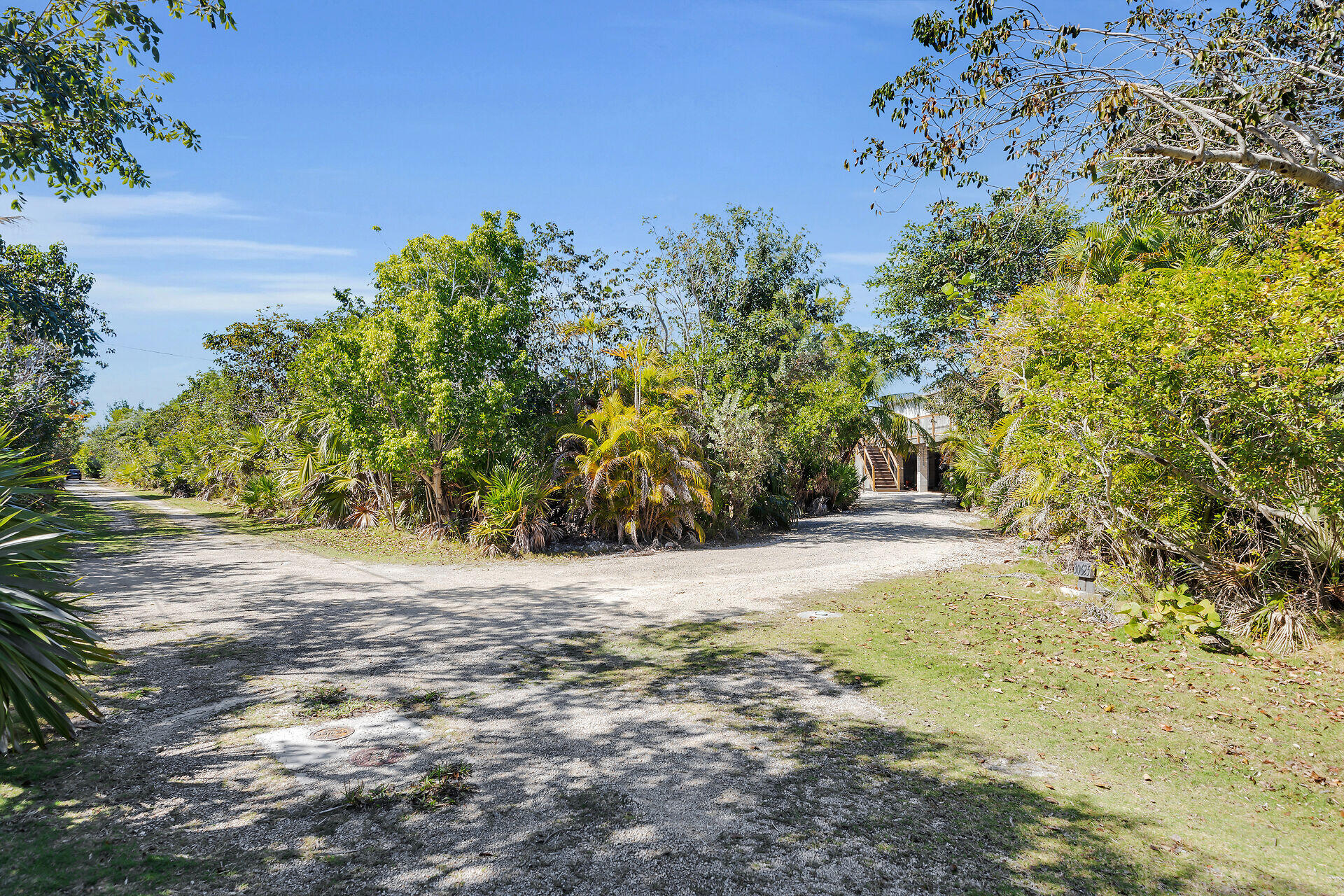 30625 16th Lane Big Pine Key, FL 33043 - Photo 41 of 42 a view of a yard with a tree
