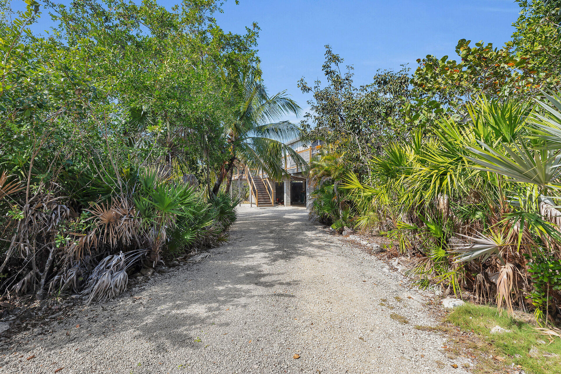 30625 16th Lane Big Pine Key, FL 33043 - Photo 5 of 42 a view of a yard with plants and trees