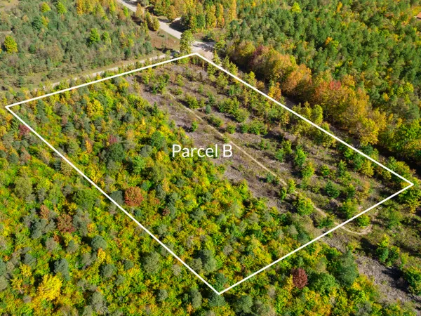 $70,000 | Parcel B Parcel B Homestead Road, Beulah, MI 49617