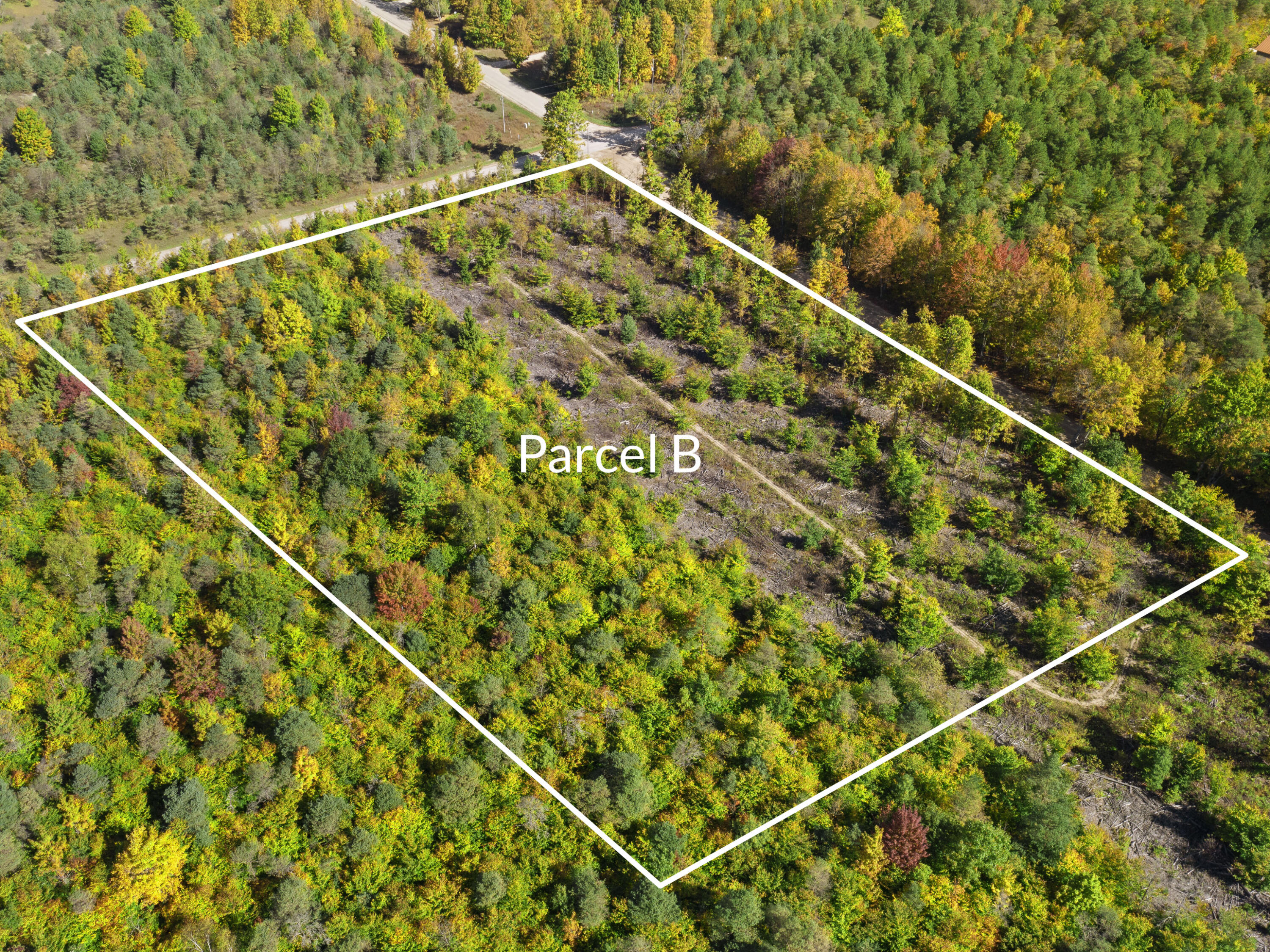 Parcel B Parcel B Homestead Road Beulah, MI 49617 - Photo 1 of 8 DJI_0263