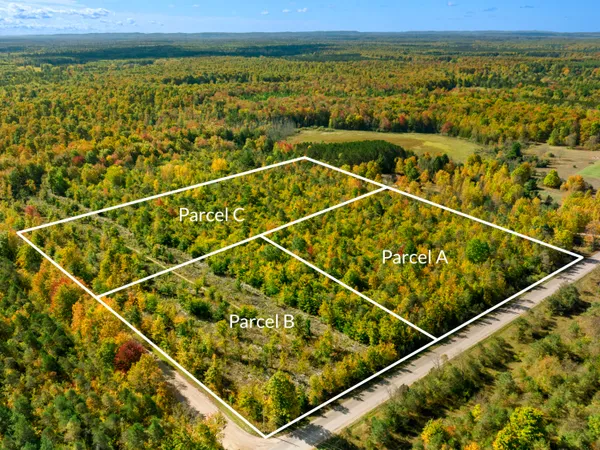$70,000 | Parcel B Parcel B Homestead Road, Beulah, MI 49617