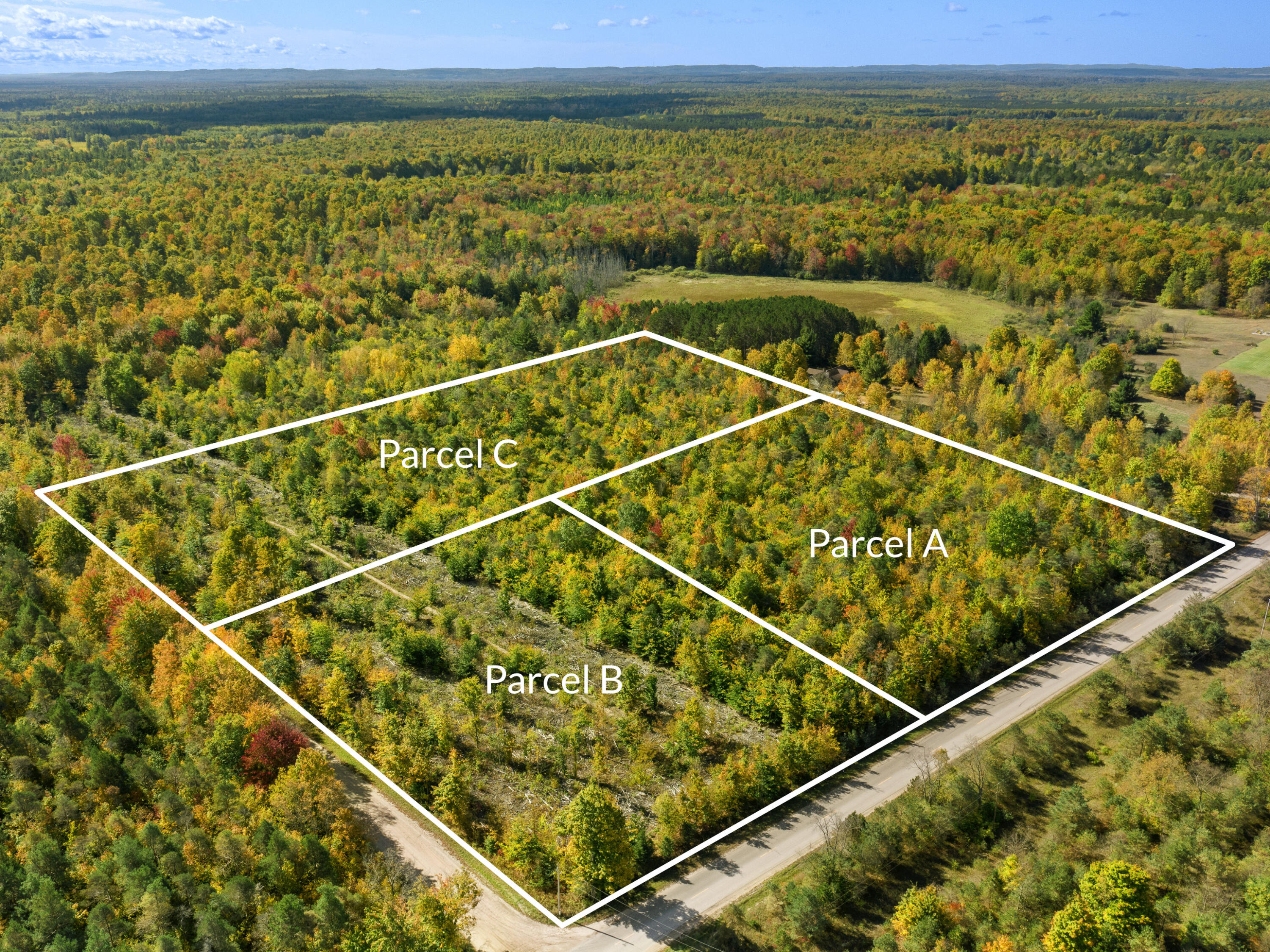 Parcel B Parcel B Homestead Road Beulah, MI 49617 - Photo 2 of 8 DJI_0273