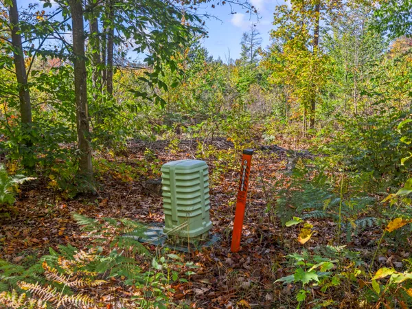 $70,000 | Parcel B Parcel B Homestead Road, Beulah, MI 49617