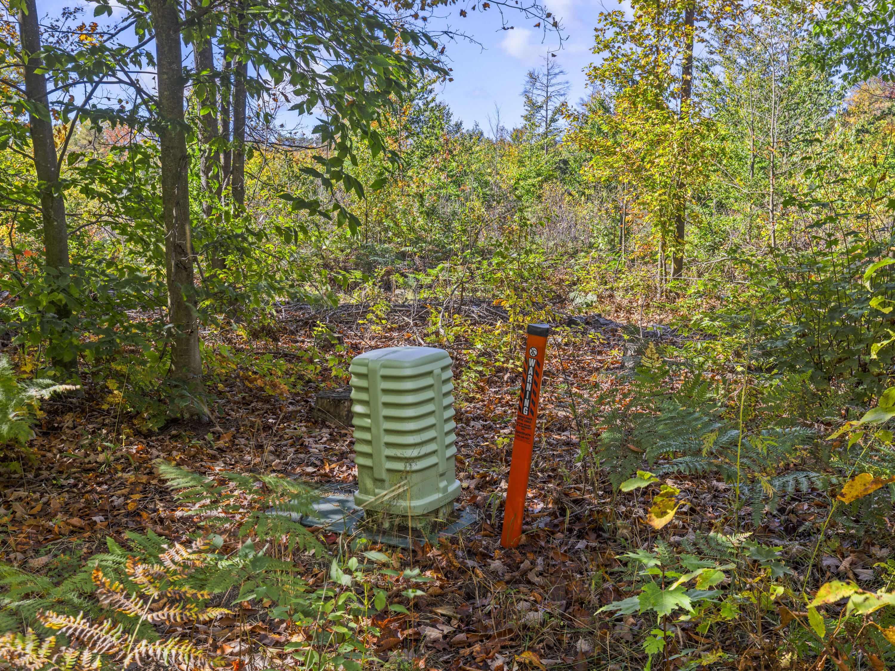 Parcel B Parcel B Homestead Road Beulah, MI 49617 - Photo 4 of 8 0S5A9598