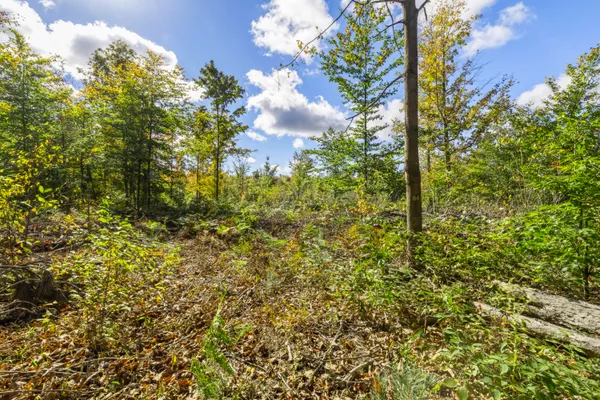 $70,000 | Parcel B Parcel B Homestead Road, Beulah, MI 49617