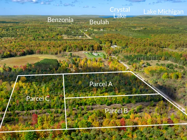 $70,000 | Parcel B Parcel B Homestead Road, Beulah, MI 49617