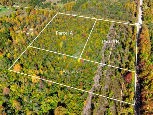 $70,000 | Parcel B Parcel B Homestead Road, Beulah, MI 49617