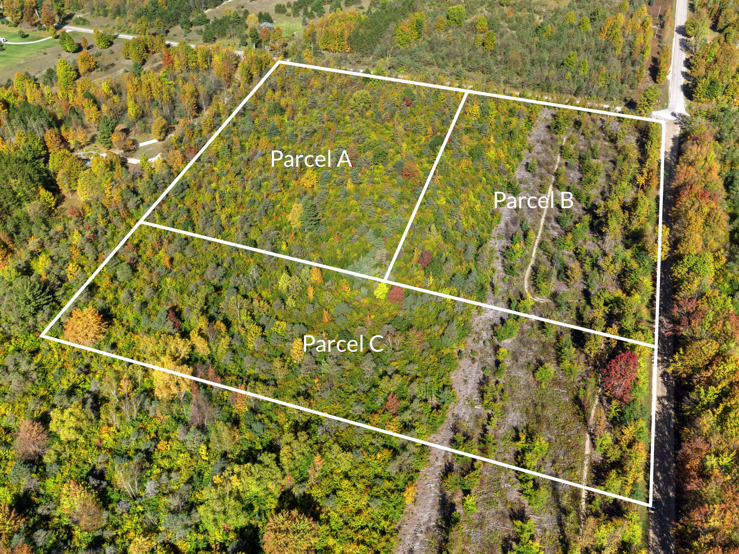 Parcel B Parcel B Homestead Road Beulah, MI 49617 - Photo 7 of 8 DJI_0248