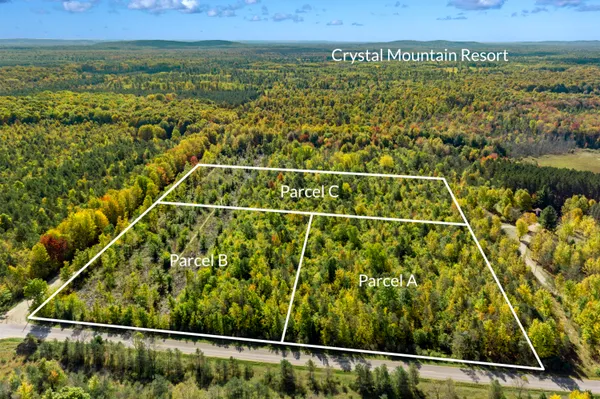 $70,000 | Parcel B Parcel B Homestead Road, Beulah, MI 49617