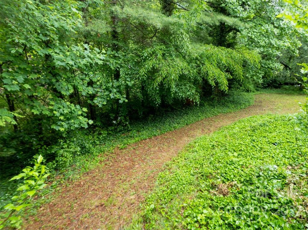 201 Laurel Ridge Road Asheville, NC 28805 - Photo 9 of 33 Gallery Image 9