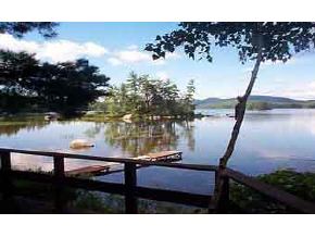 55 Lakewinds Road Conway, NH 03813 - Photo 2 of 8
