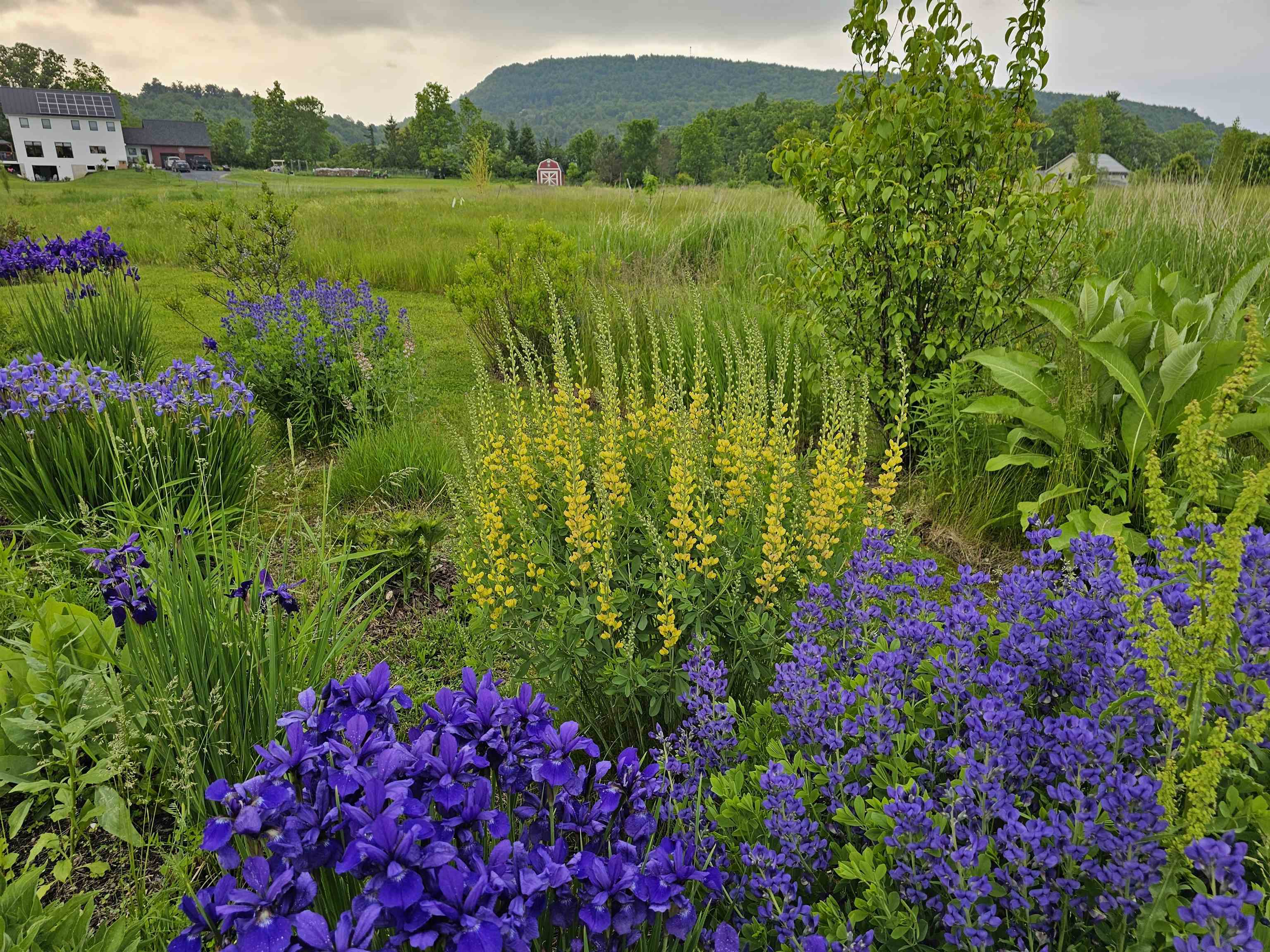 55 Braeside Place Ferrisburgh, VT 05473 - Photo 26 of 31