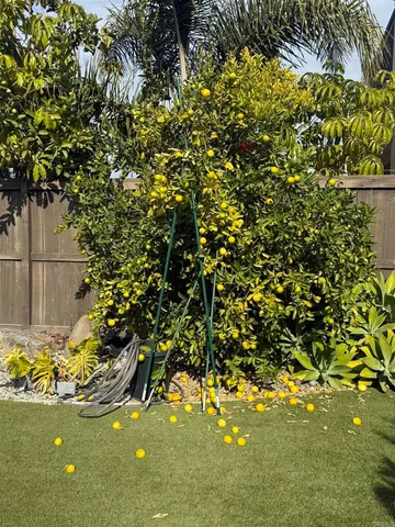 $5,500 | 438 Cota Lane, Vista, CA 92083