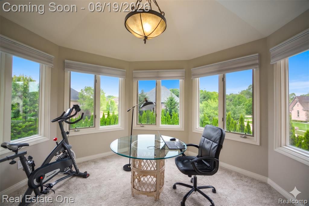1576 Galena Rochester Hills, MI 48306 - Photo 20 of 28