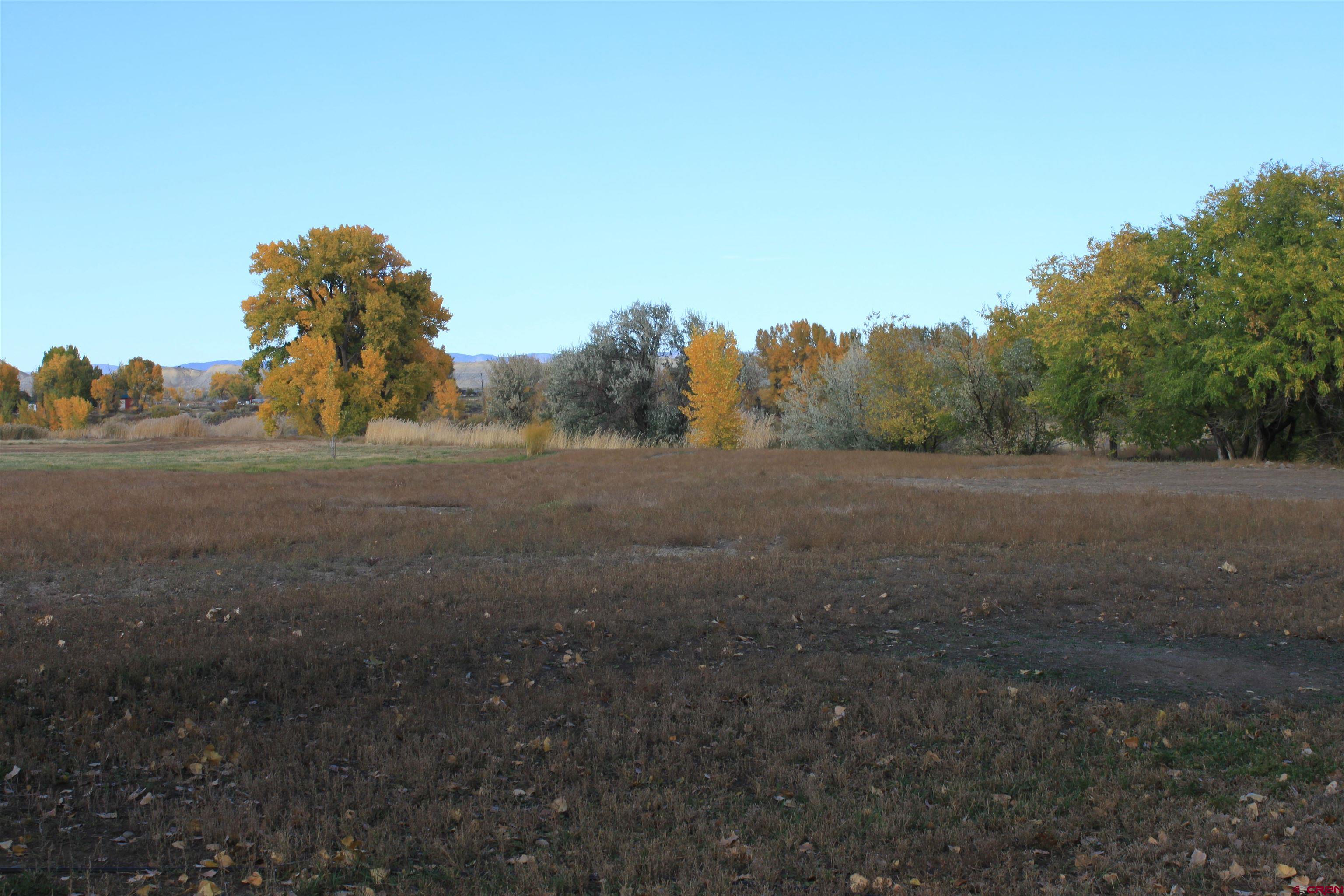 20976 6840th Road Montrose, CO 81403 - Photo 25 of 33 a view of a field with trees in background