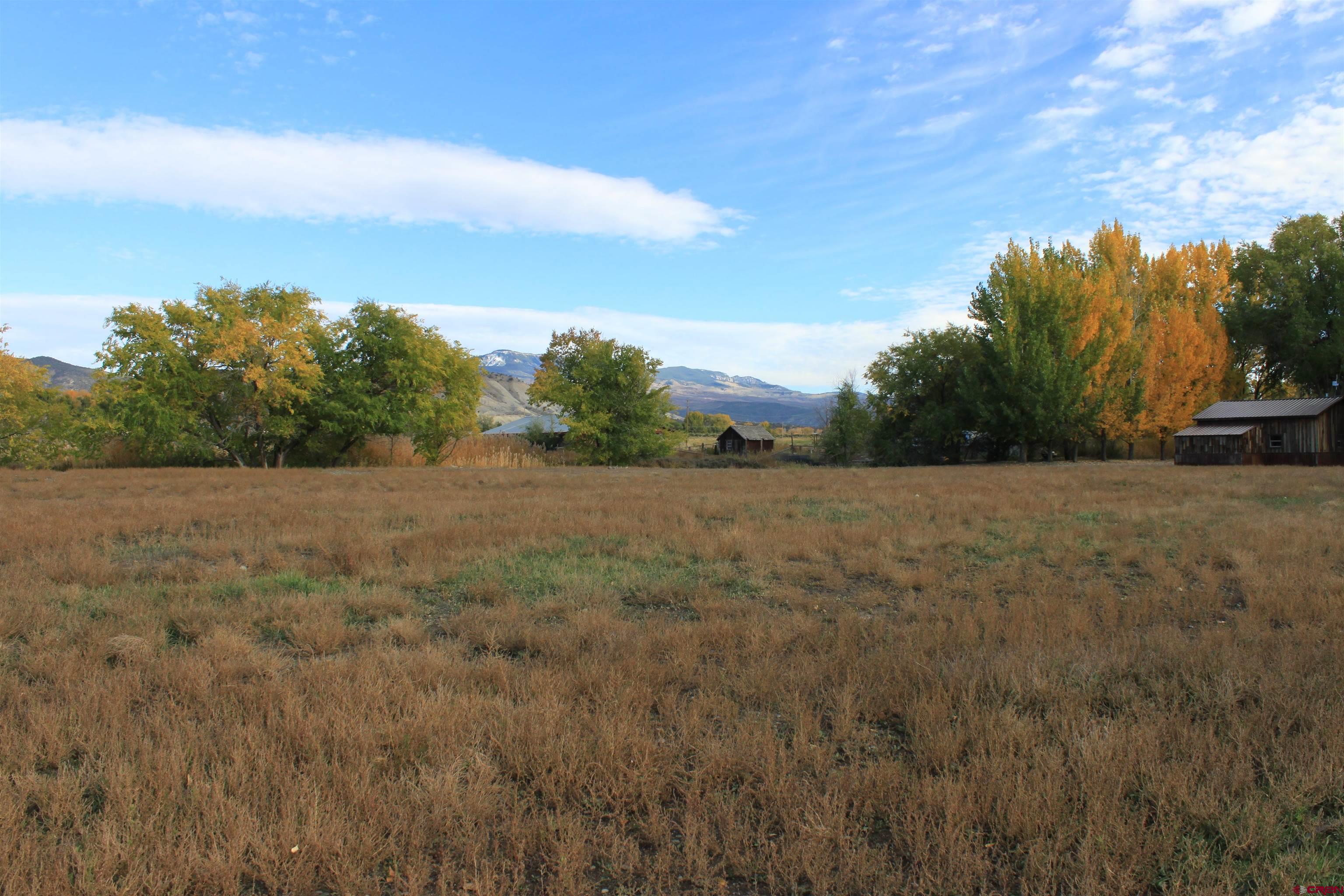20976 6840th Road Montrose, CO 81403 - Photo 26 of 33 a view of a field with trees in background