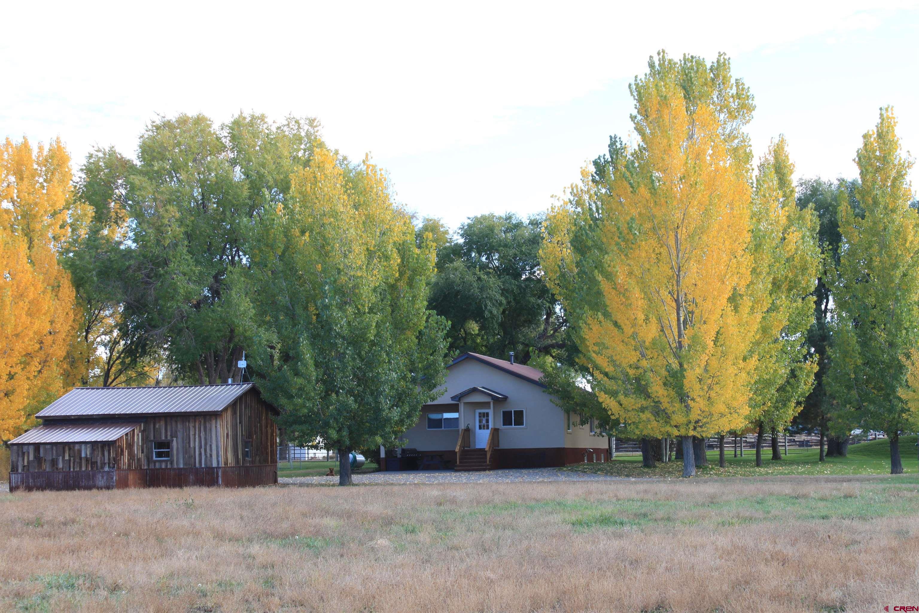 20976 6840th Road Montrose, CO 81403 - Photo 27 of 33 a house with trees in front of it