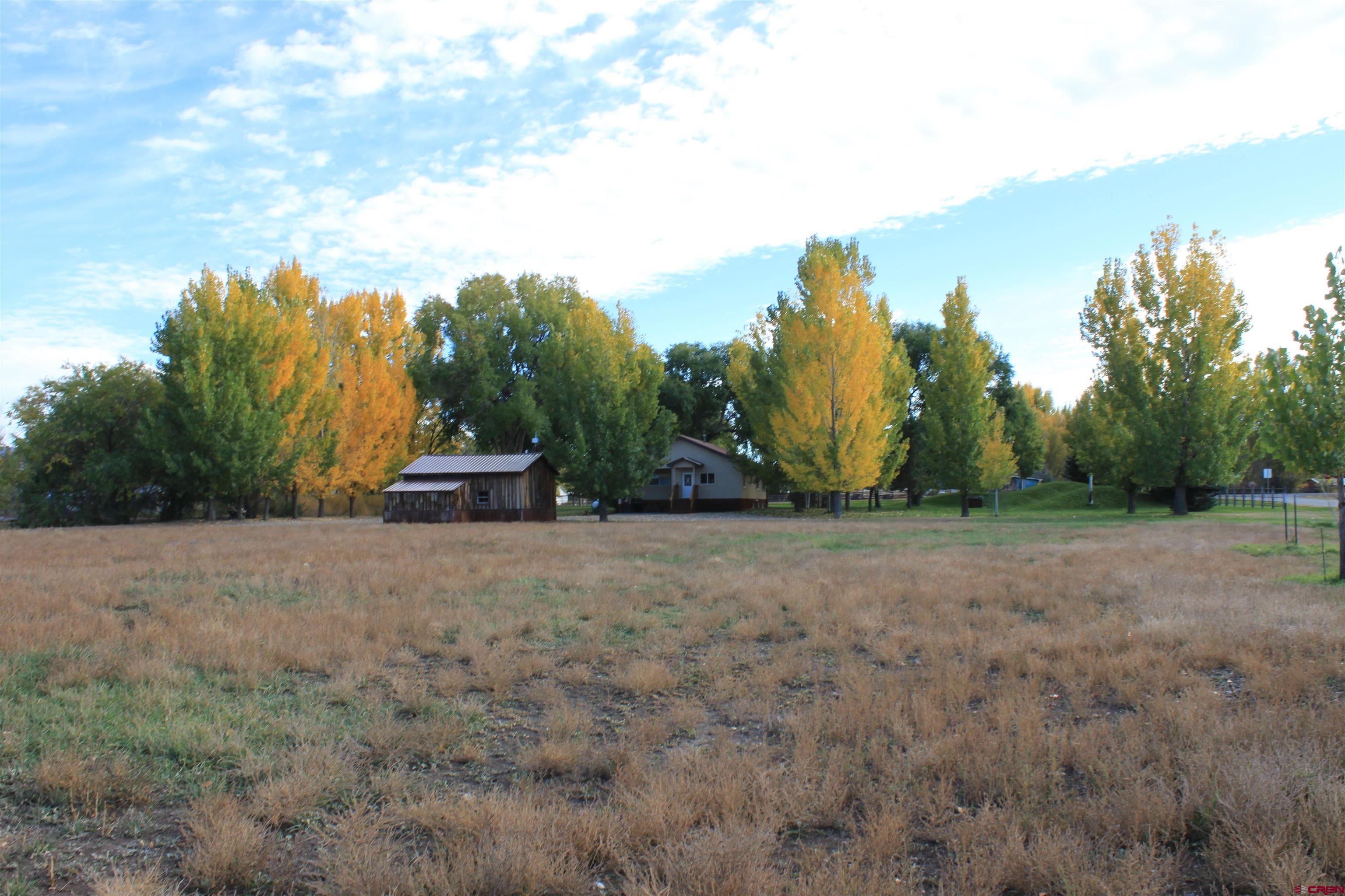 20976 6840th Road Montrose, CO 81403 - Photo 28 of 33 a view of a field with trees