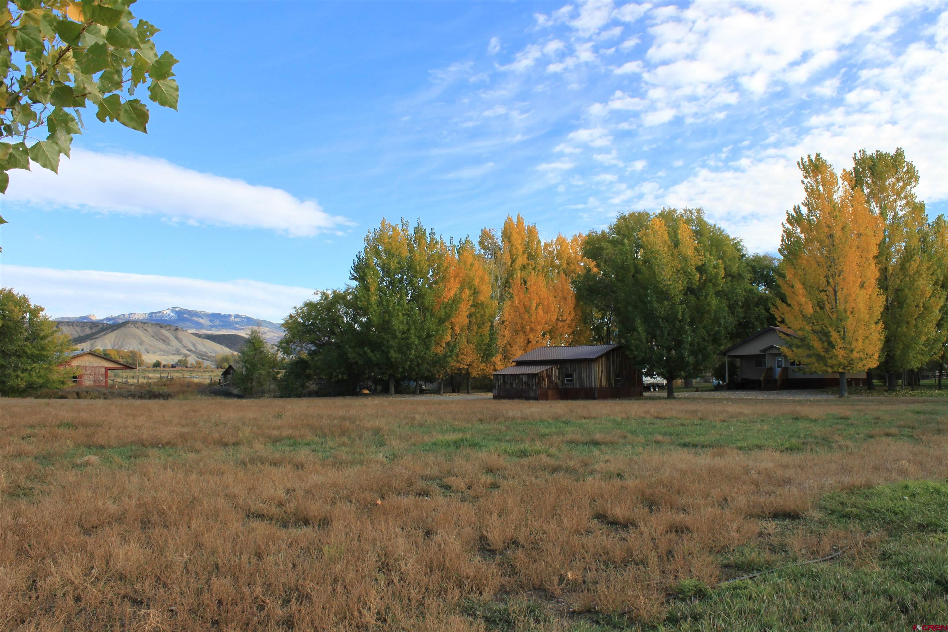 20976 6840th Road Montrose, CO 81403 - Photo 29 of 33 a view of a field with trees in the background