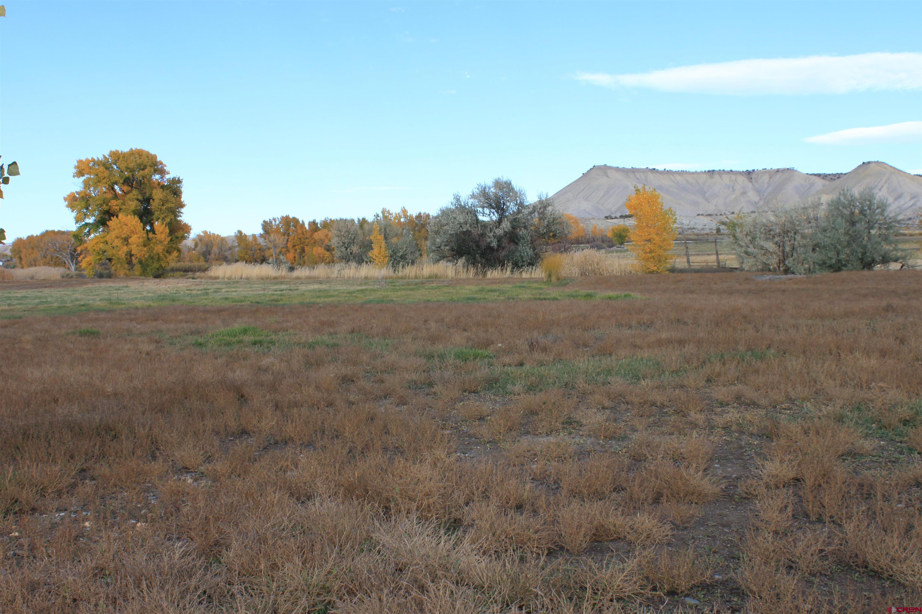 20976 6840th Road Montrose, CO 81403 - Photo 30 of 33 a view of a field with an ocean