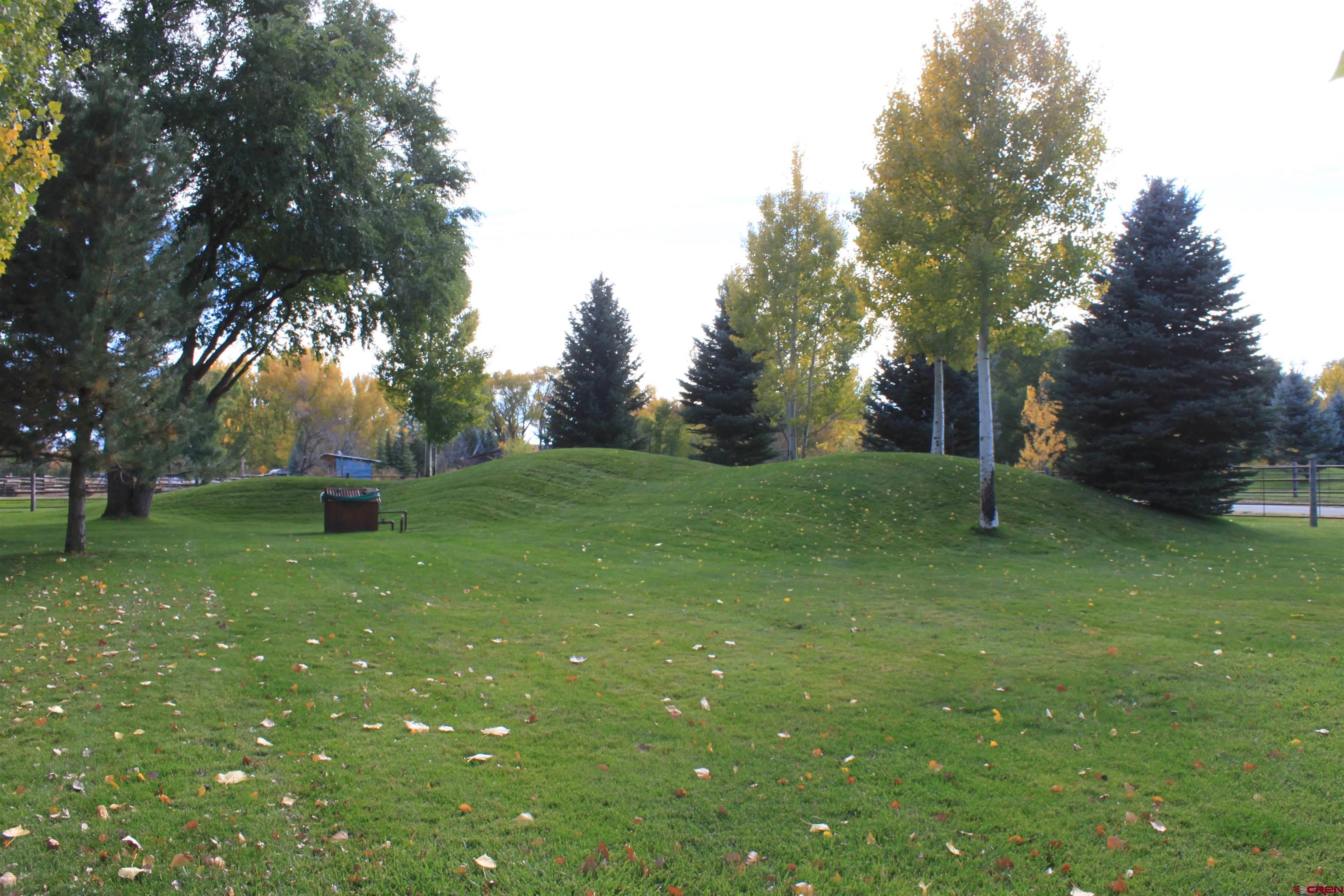 20976 6840th Road Montrose, CO 81403 - Photo 32 of 33 a backyard of a house with lots of green space