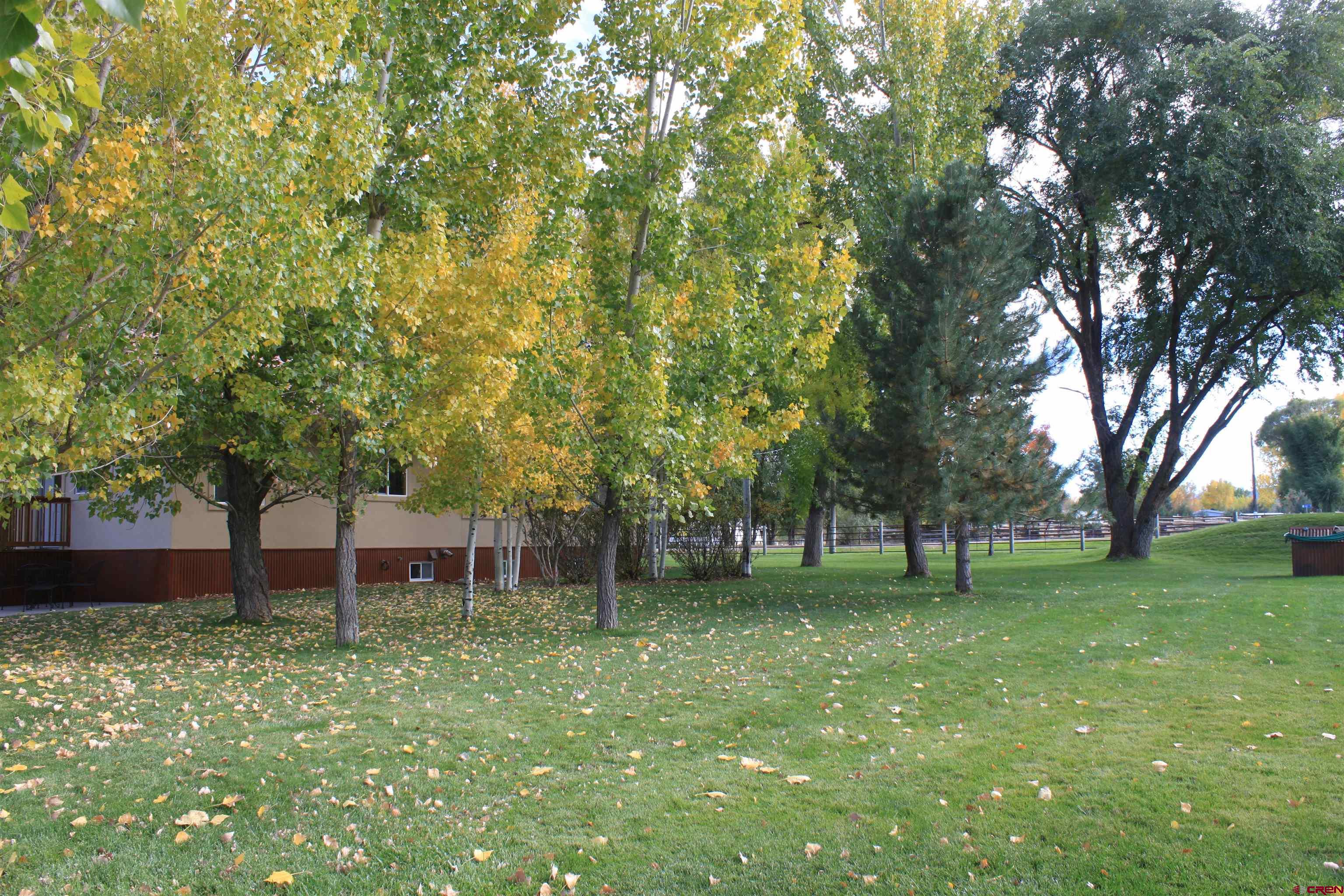 20976 6840th Road Montrose, CO 81403 - Photo 33 of 33 a view of house with a backyard