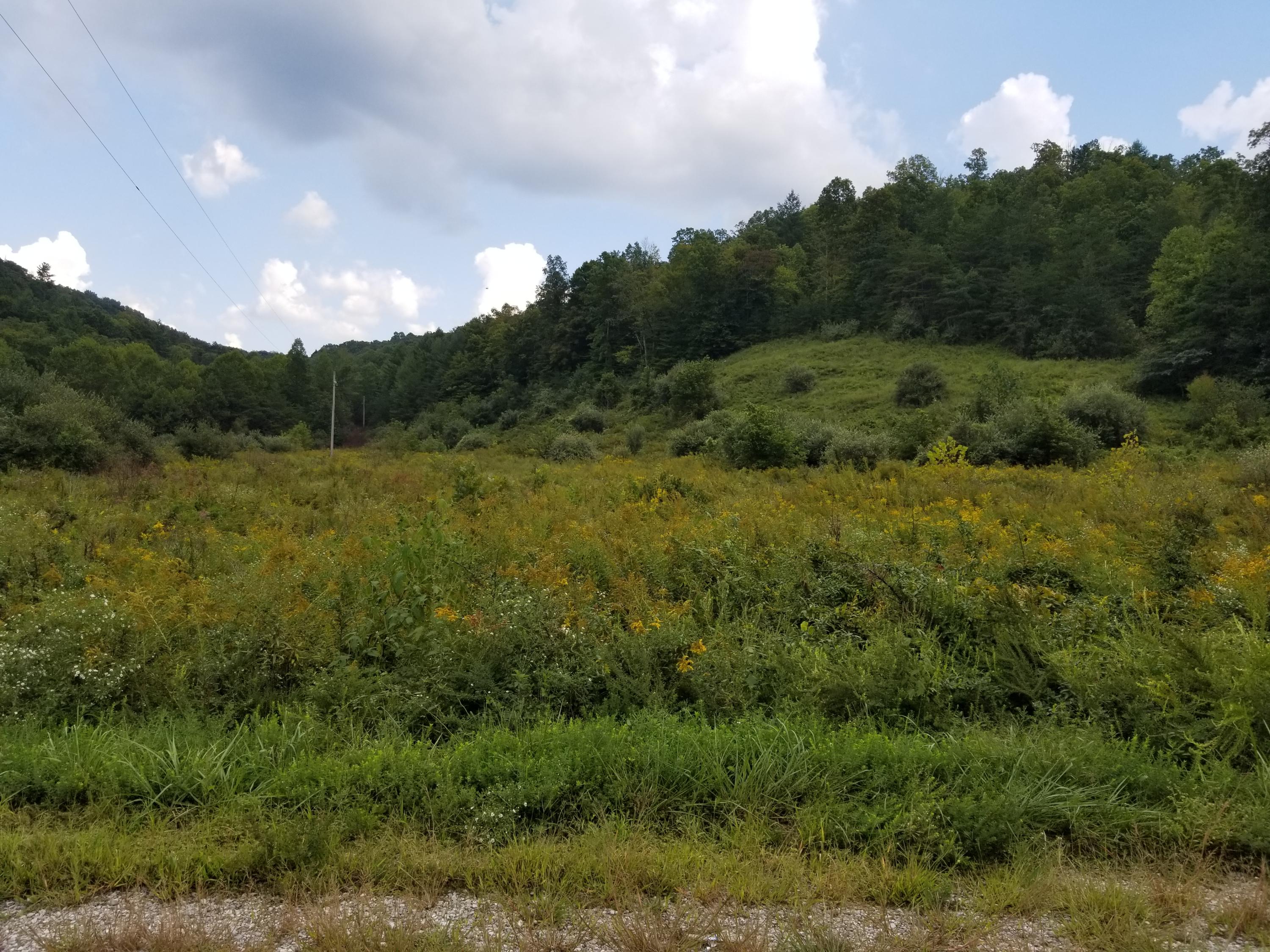 Mine Rock Road Oneida, TN 37841 - Photo 1 of 5 Mine Rock Rd A S (7)