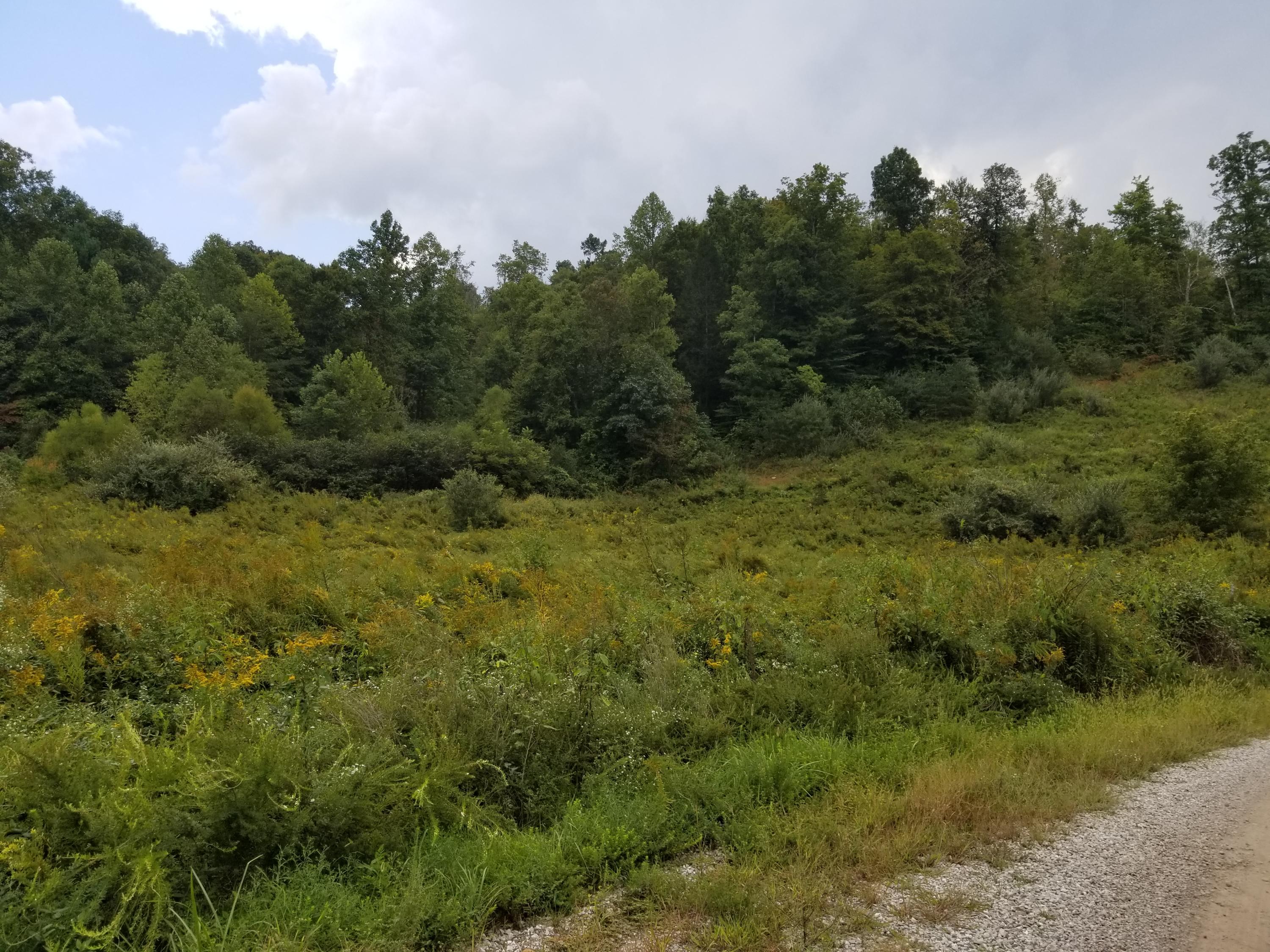 Mine Rock Road Oneida, TN 37841 - Photo 2 of 5 Mine Rock Rd A S (2)