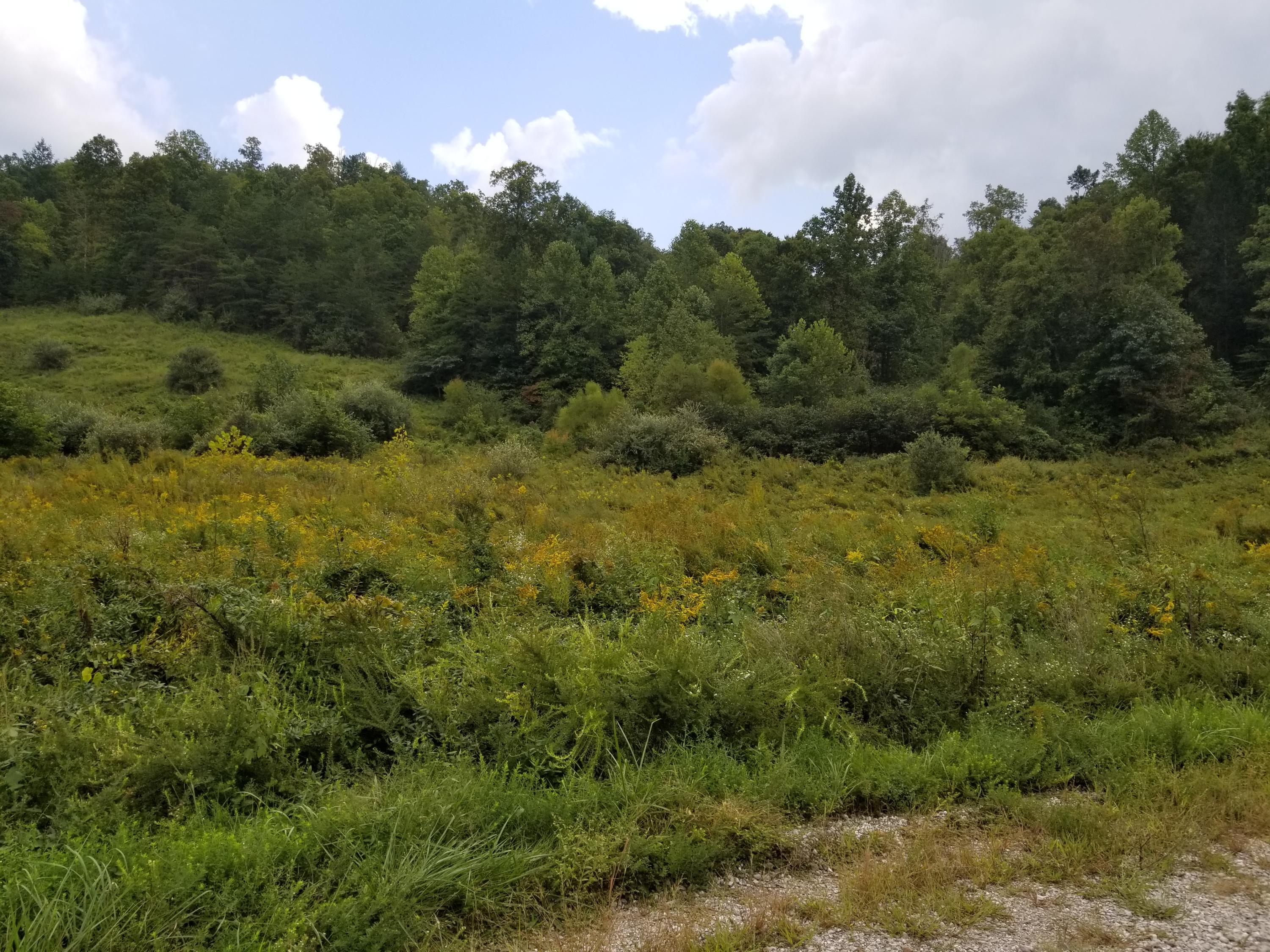 Mine Rock Road Oneida, TN 37841 - Photo 5 of 5 Mine Rock Rd A S (5)