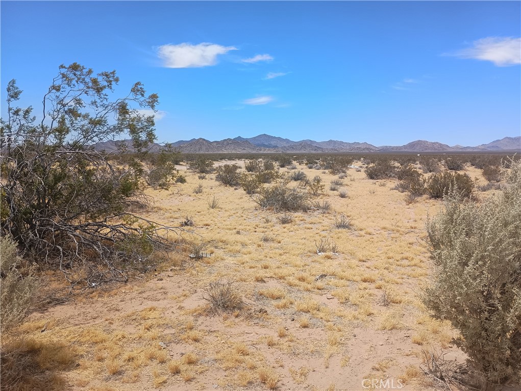 5 North Side Road Lucerne Valley, CA 92356 - Photo 3 of 7