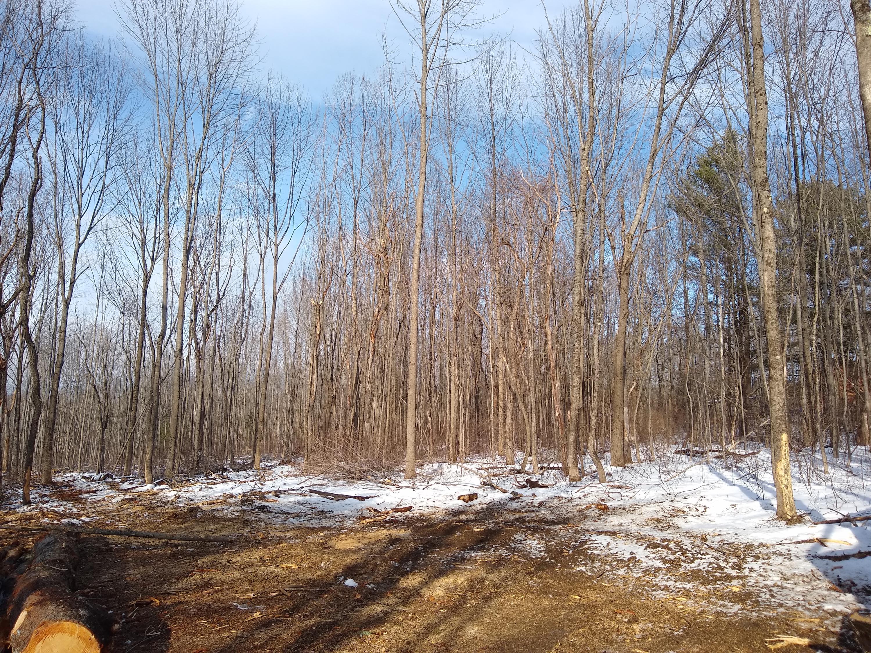 0 Bailey Hill Road Farmington, ME 04938 - Photo 2 of 11 IMG_20200111_130648250