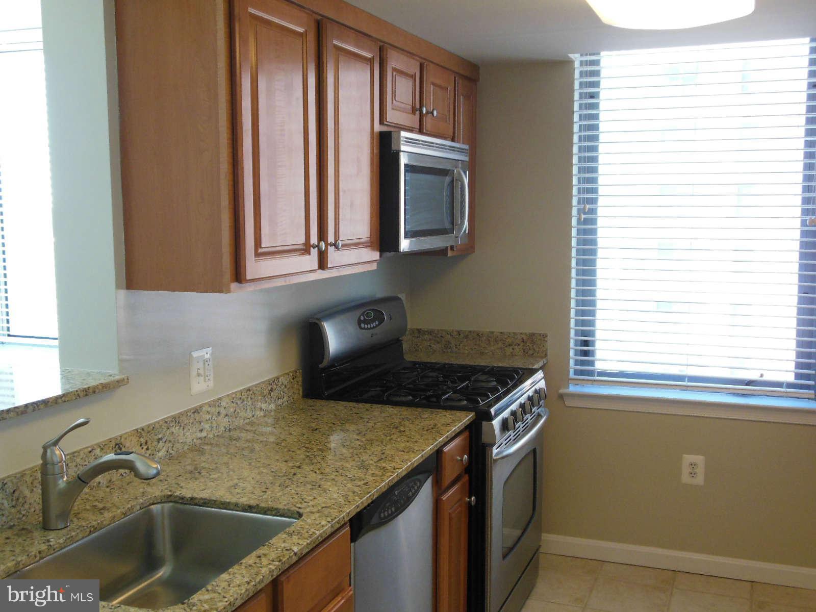 11710 Old Georgetown Road, Unit 1001 Rockville, MD 20852 - Photo 2 of 21 Kitchen