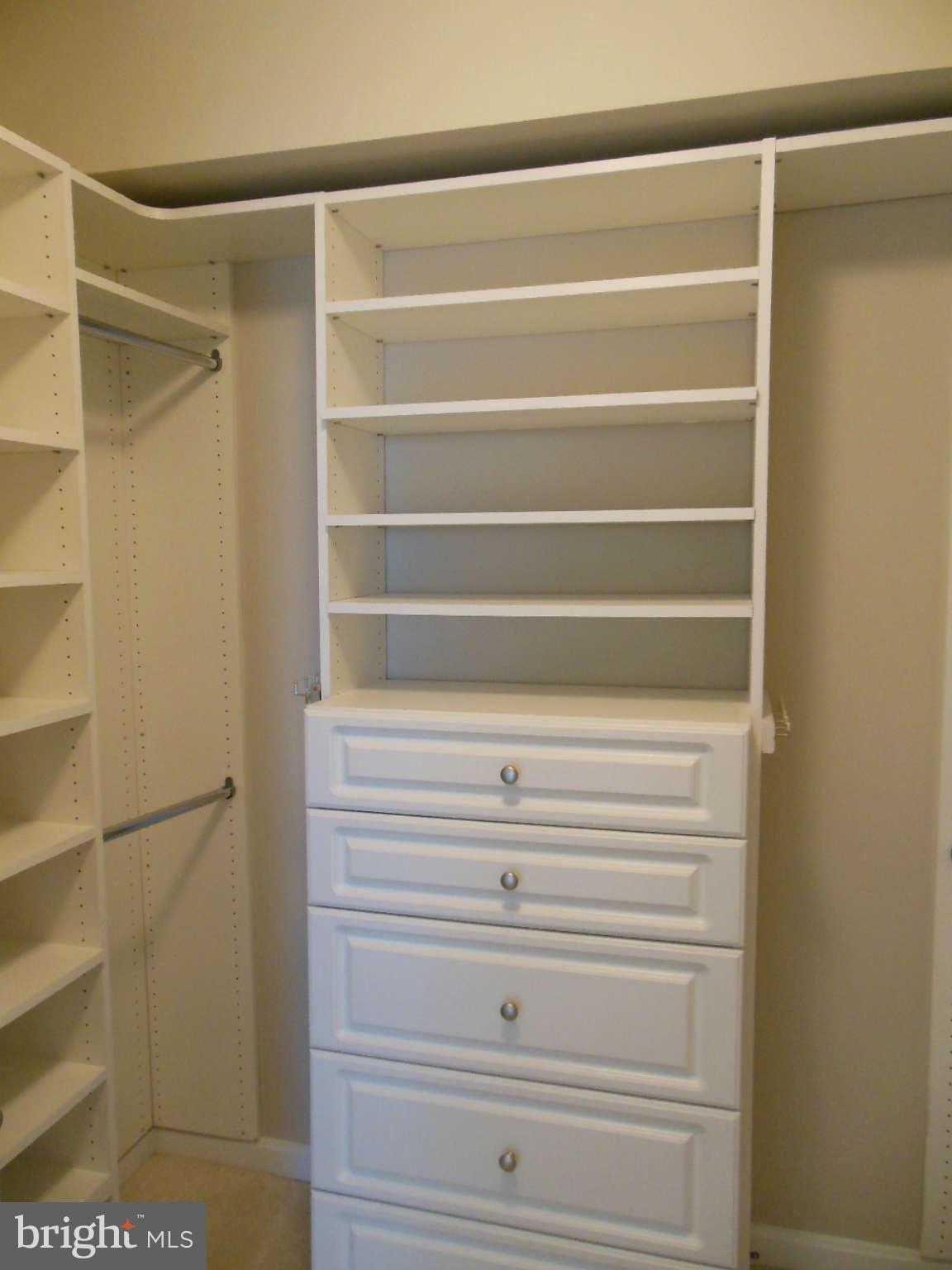 11710 Old Georgetown Road, Unit 1001 Rockville, MD 20852 - Photo 12 of 21 Bedroom (Master) Walk in with custom shelving