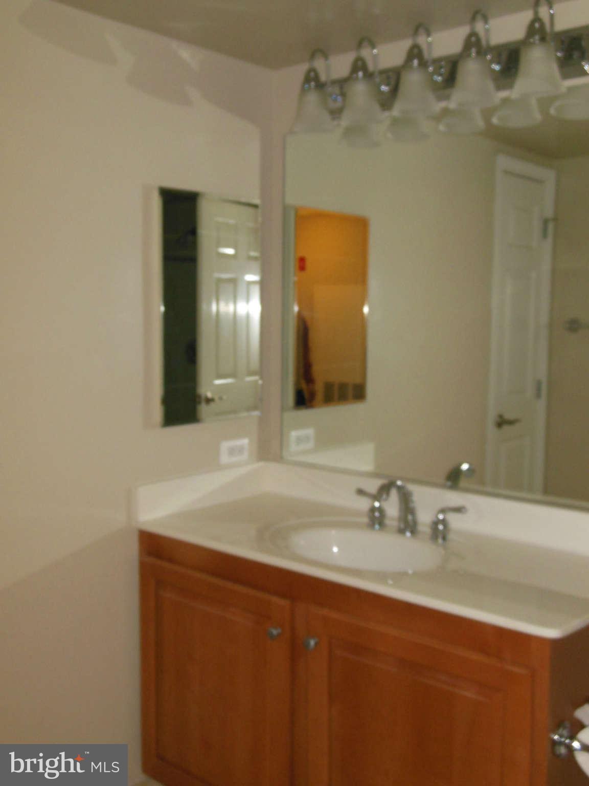 11710 Old Georgetown Road, Unit 1001 Rockville, MD 20852 - Photo 17 of 21 Bath 2 of 2