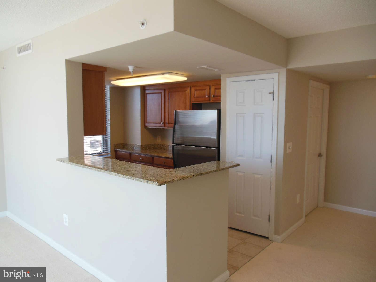 11710 Old Georgetown Road, Unit 1001 Rockville, MD 20852 - Photo 4 of 21 Kitchen - breakfast bar