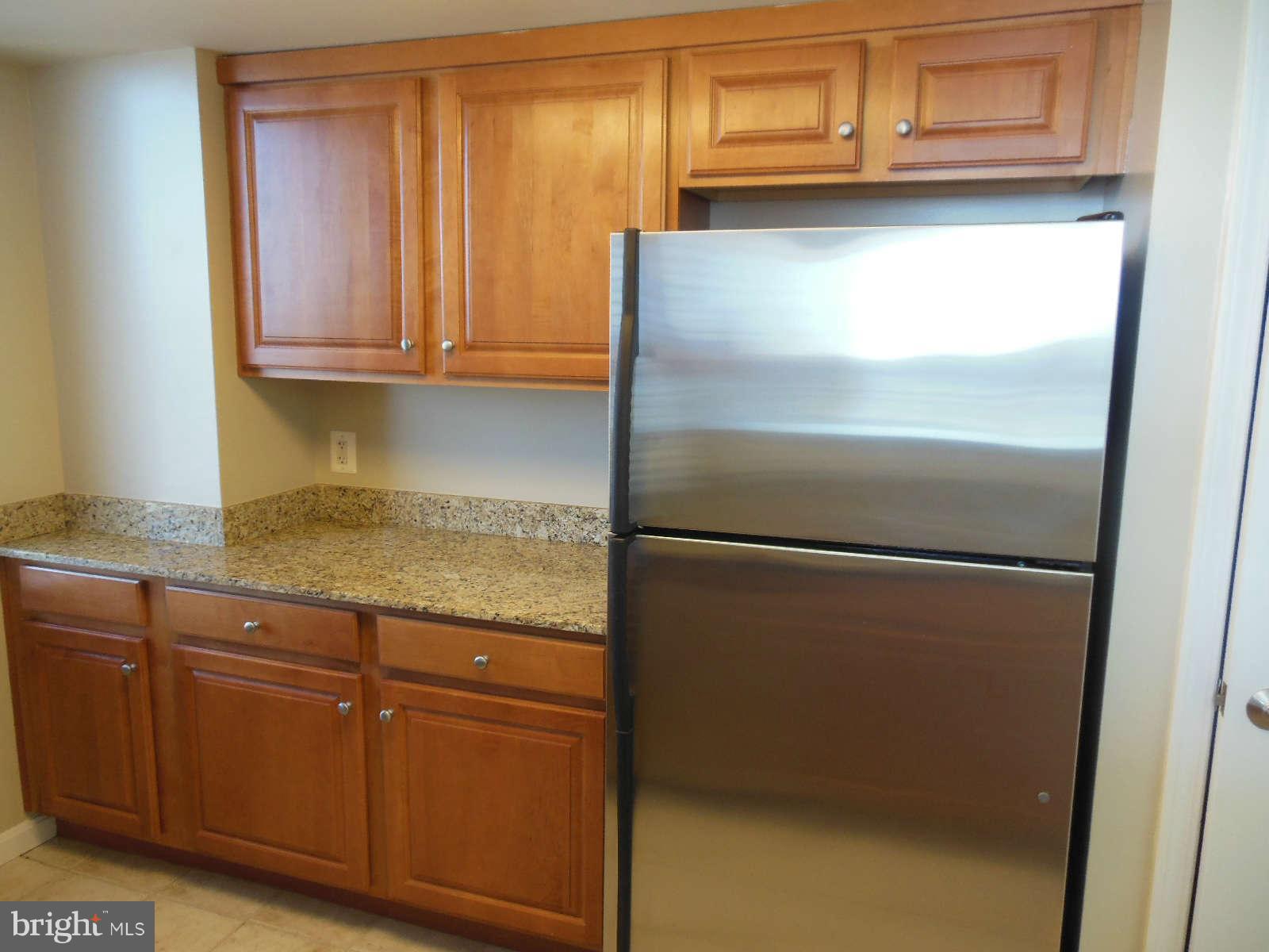 11710 Old Georgetown Road, Unit 1001 Rockville, MD 20852 - Photo 5 of 21 Kitchen