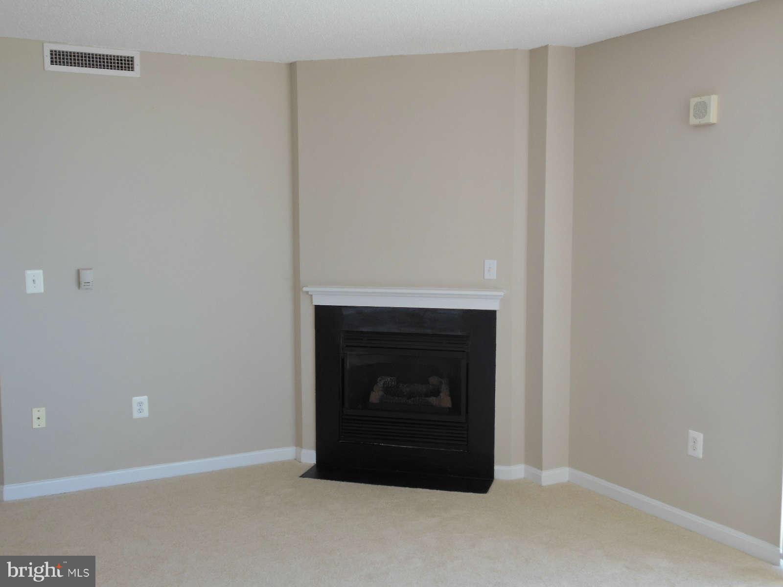 11710 Old Georgetown Road, Unit 1001 Rockville, MD 20852 - Photo 8 of 21 Living Room