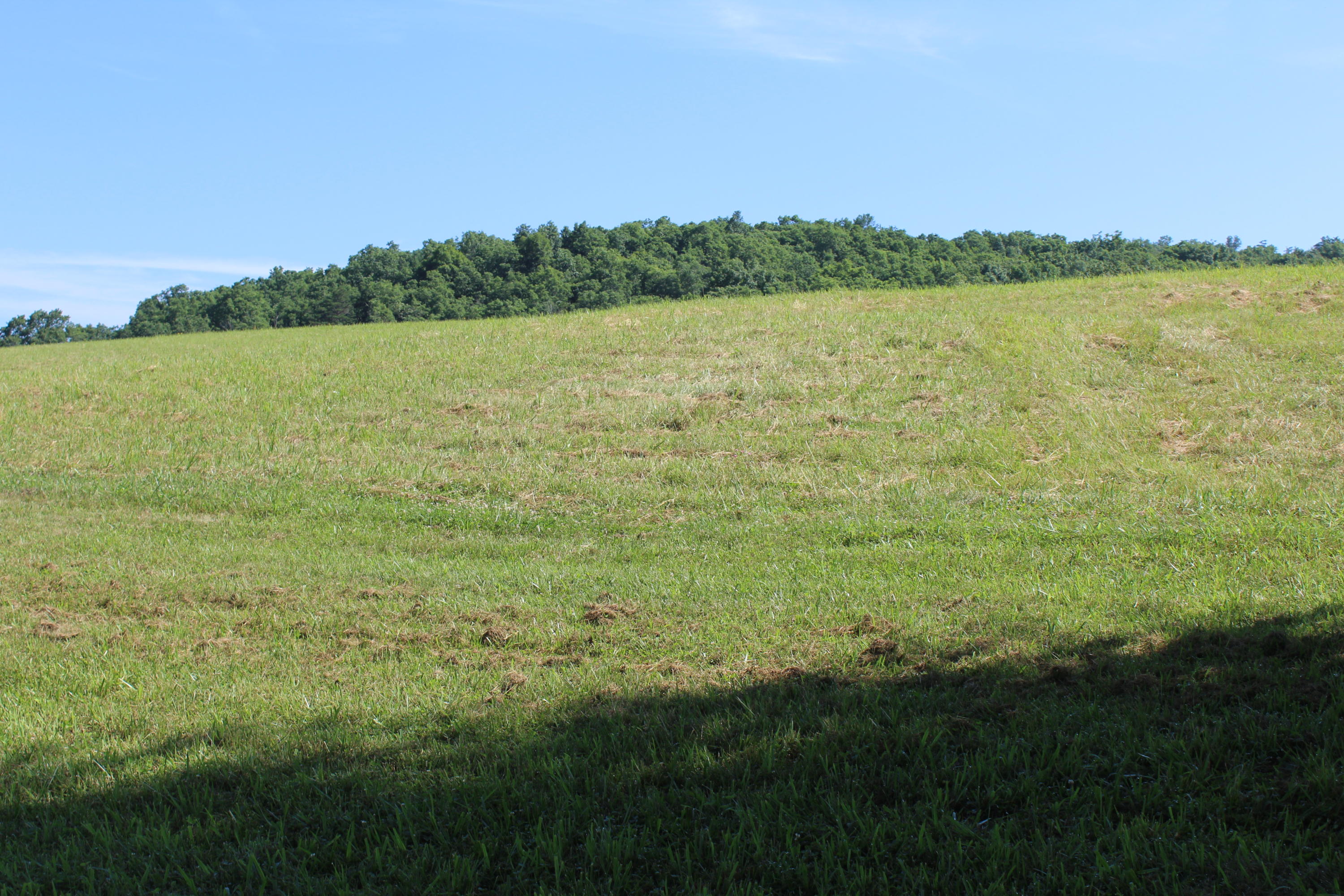 788 Wayside Talcott Road Talcott, WV 24981 - Photo 28 of 31 Gallery Image 28
