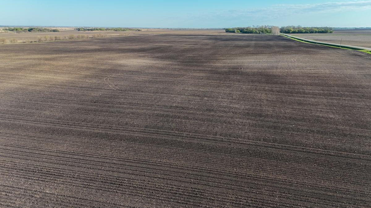 Tbd 320th Street Rothsay, MN 56579 - Photo 26 of 32